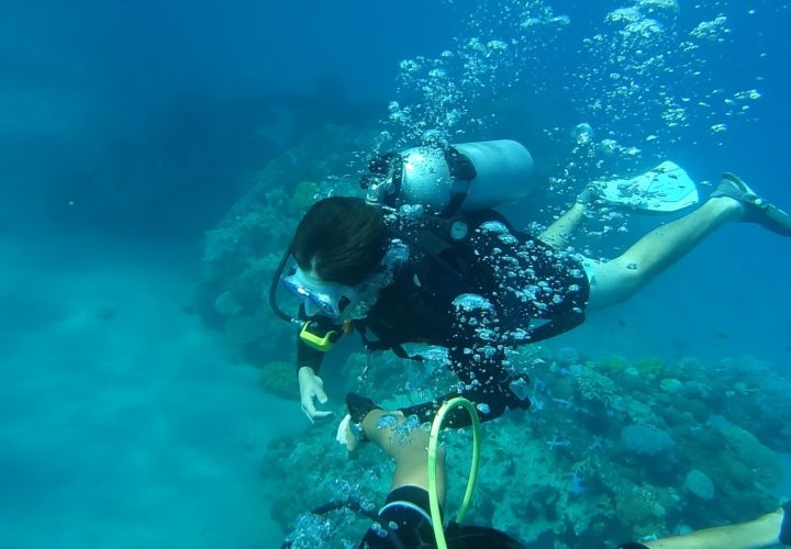 水中でも写真を撮りたい！防水カメラの選び方